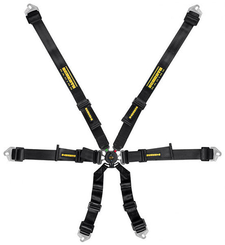 Schroth Flexi 2x2 FIA Harness, 2